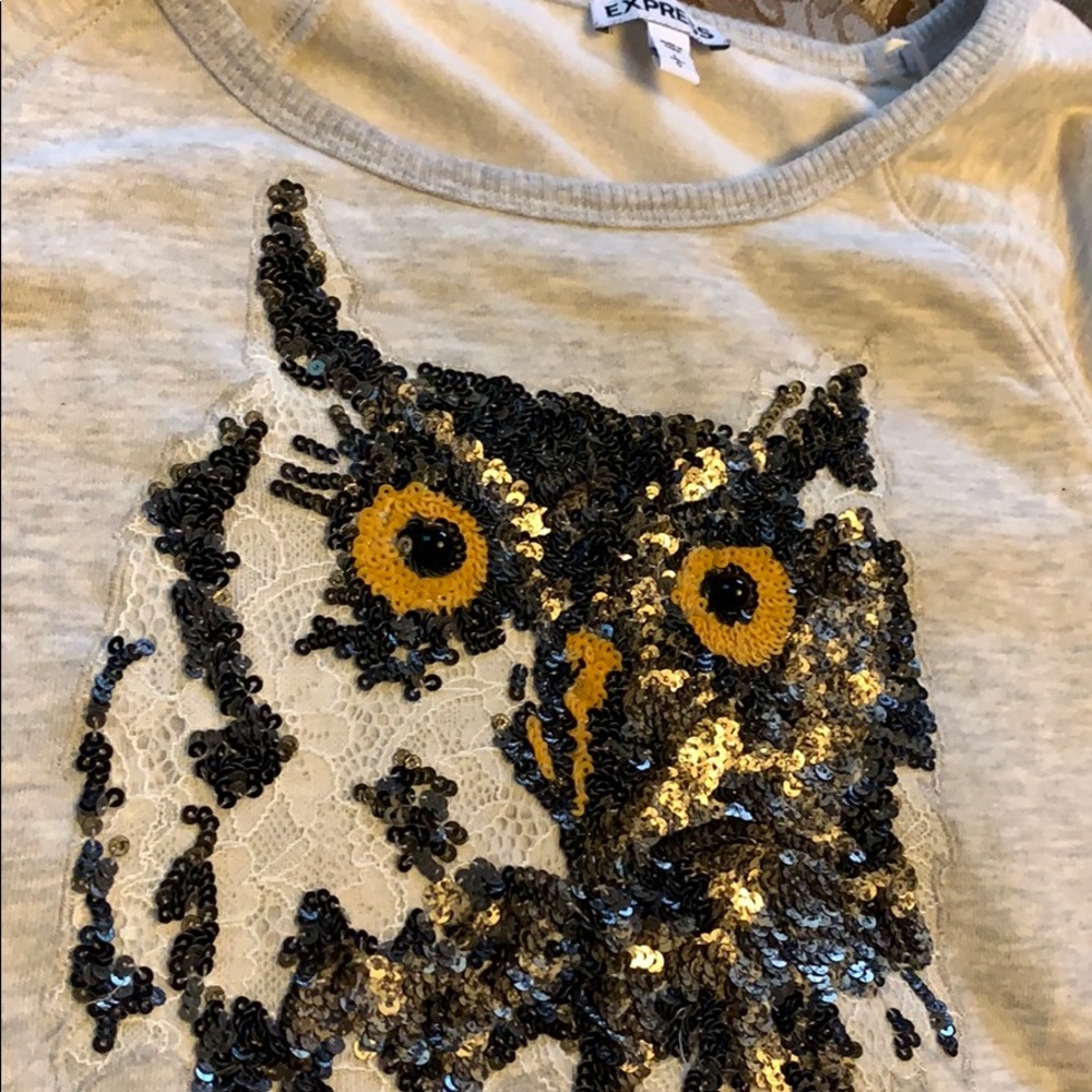 Beautiful sequin Express owl Sweater crop top ✨🦉